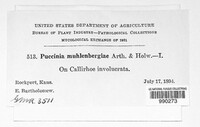 Image Associated With the Occurence
